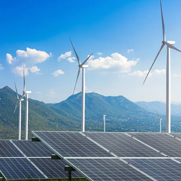 81 MWp – Bikaner, Rajasthan